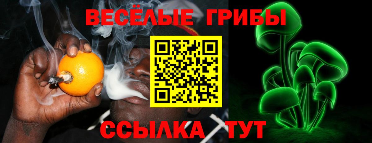 Богданович  Псилоцибиновые грибы MAGIC MUSHROOMS  купить   Вход с VPN 